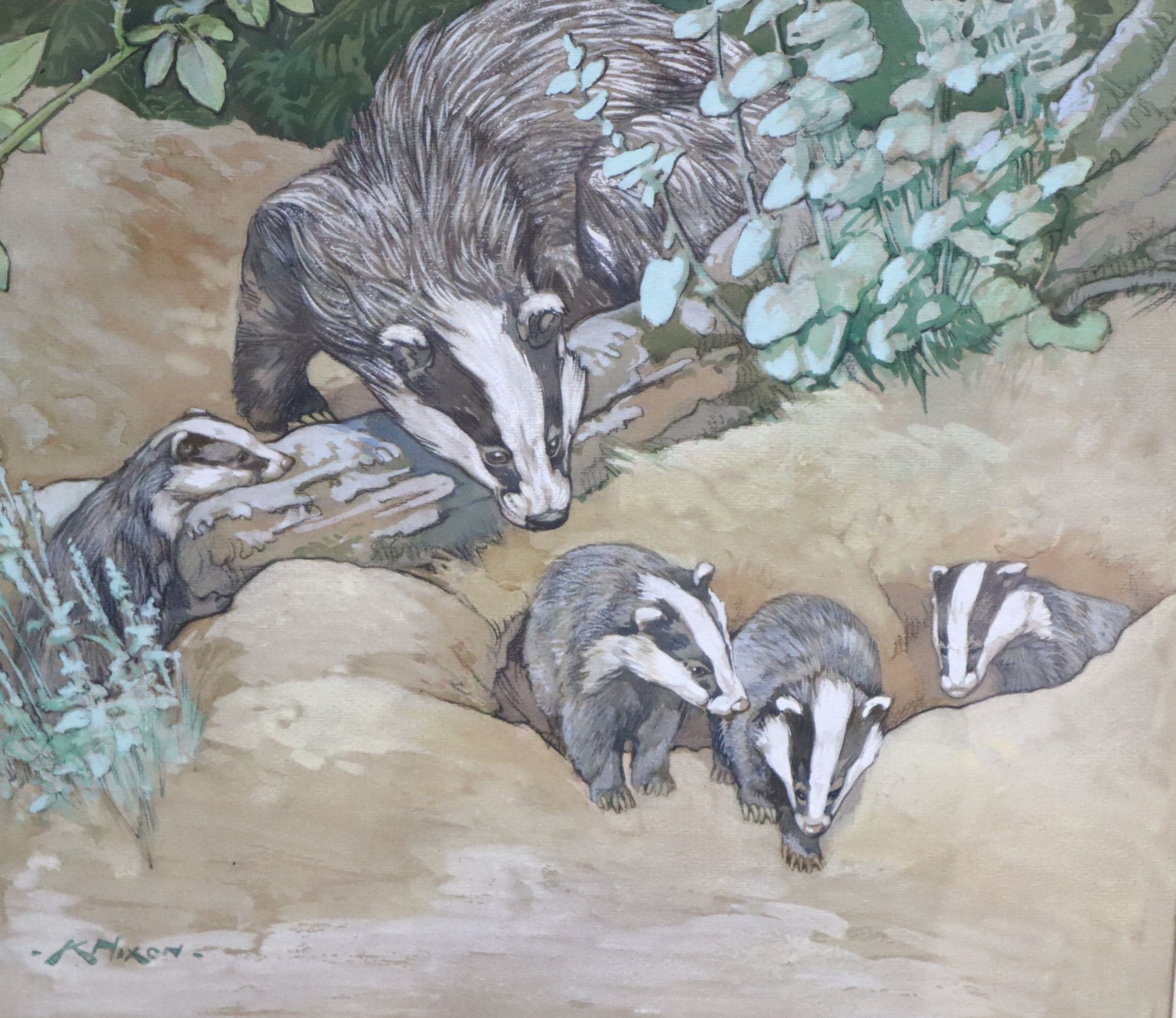 Kay Nixon (1895-1988), watercolour and gouache, Badgers, painted for the book Animal Mothers and Babies, signed, 28 x 31cm